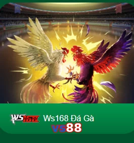 vs88
